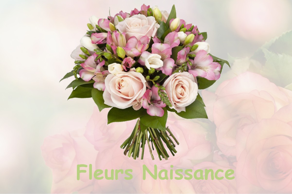 fleurs naissance CASTERA-VIGNOLES